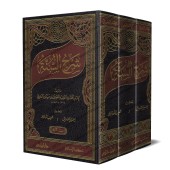 Sharh As-Sunnah d'al-Baghawî [3 Volumes]/شرح السنة للبغوي